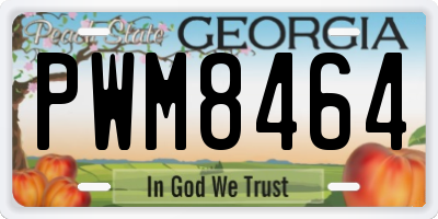 GA license plate PWM8464