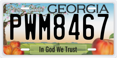GA license plate PWM8467