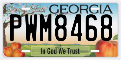 GA license plate PWM8468