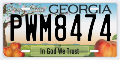 GA license plate PWM8474