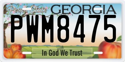 GA license plate PWM8475