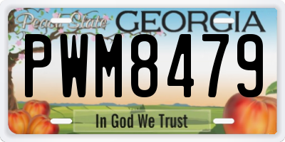 GA license plate PWM8479