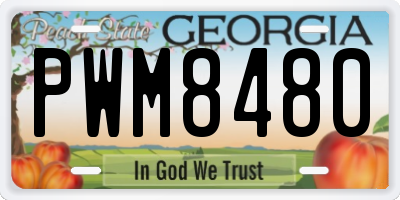 GA license plate PWM8480