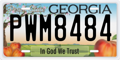 GA license plate PWM8484