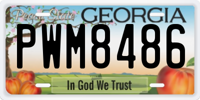 GA license plate PWM8486