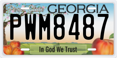 GA license plate PWM8487
