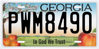 GA license plate PWM8490