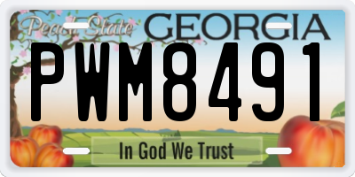 GA license plate PWM8491