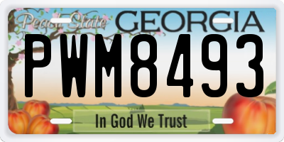 GA license plate PWM8493