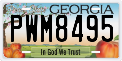 GA license plate PWM8495