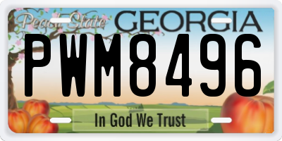 GA license plate PWM8496