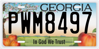 GA license plate PWM8497