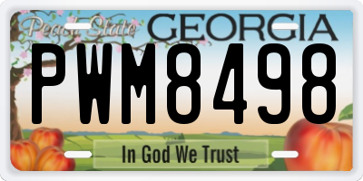 GA license plate PWM8498