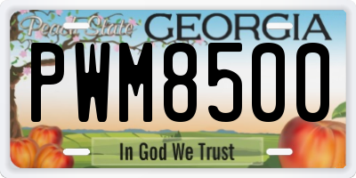 GA license plate PWM8500