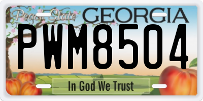 GA license plate PWM8504