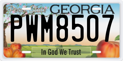 GA license plate PWM8507
