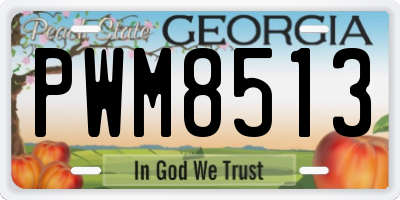 GA license plate PWM8513