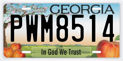 GA license plate PWM8514