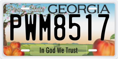 GA license plate PWM8517