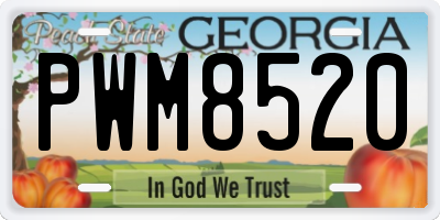 GA license plate PWM8520