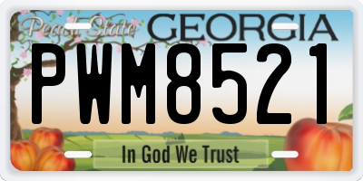 GA license plate PWM8521