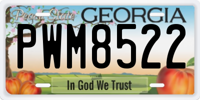 GA license plate PWM8522