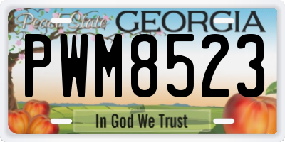 GA license plate PWM8523