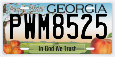 GA license plate PWM8525