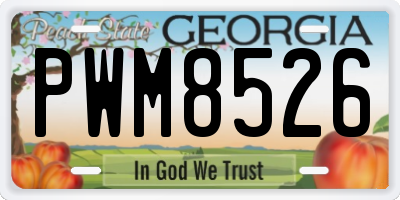 GA license plate PWM8526