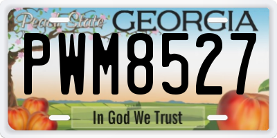 GA license plate PWM8527
