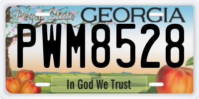 GA license plate PWM8528