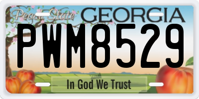 GA license plate PWM8529
