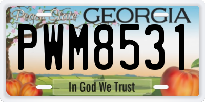 GA license plate PWM8531