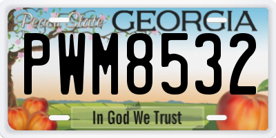 GA license plate PWM8532