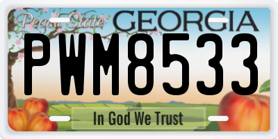 GA license plate PWM8533