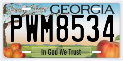 GA license plate PWM8534
