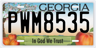 GA license plate PWM8535