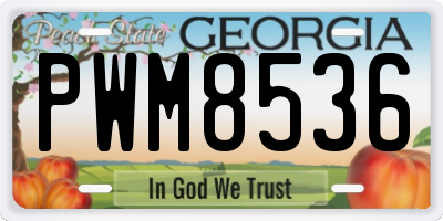 GA license plate PWM8536