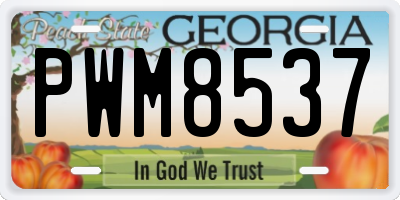 GA license plate PWM8537