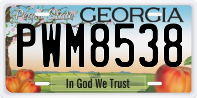 GA license plate PWM8538