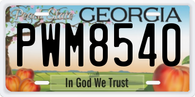 GA license plate PWM8540