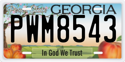 GA license plate PWM8543