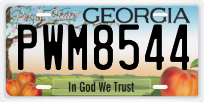 GA license plate PWM8544