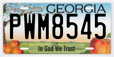 GA license plate PWM8545