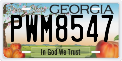 GA license plate PWM8547