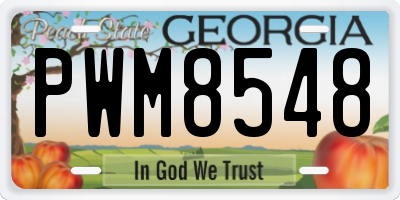 GA license plate PWM8548