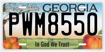 GA license plate PWM8550