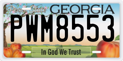 GA license plate PWM8553