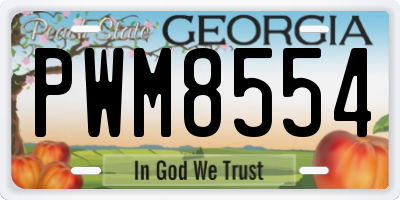 GA license plate PWM8554