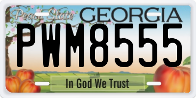 GA license plate PWM8555